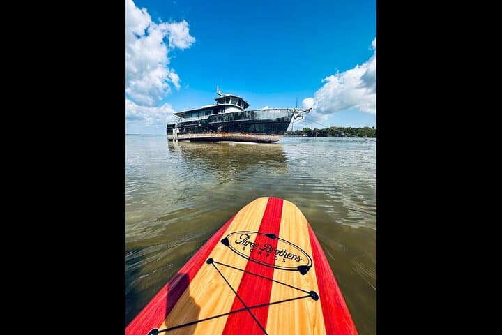 Paddle with Dolphins and Manatees: Merritt Island Nature Kayak Tour photo 4