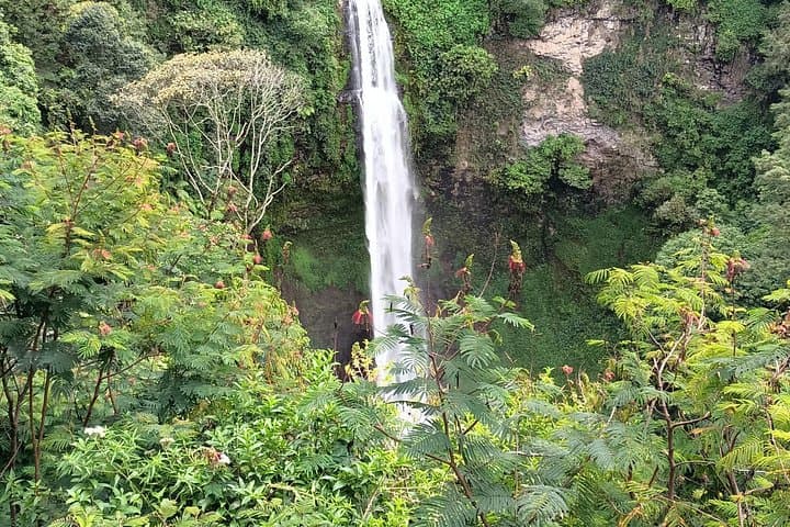 Jakarta to Bogor: Botanical Garden, Waterfall & Mulyaharja Rice Terrace Day Tour