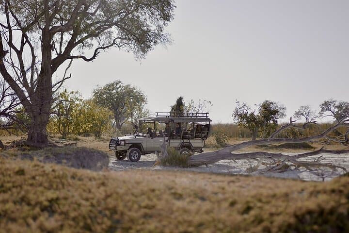 8-Day Chobe, Okavango & Victoria Falls Safari — Chobe, Elephant Sands and Moremi in One Trip