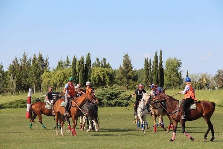 Pampas Horseback Riding and Polo Day Trip from Buenos Aires