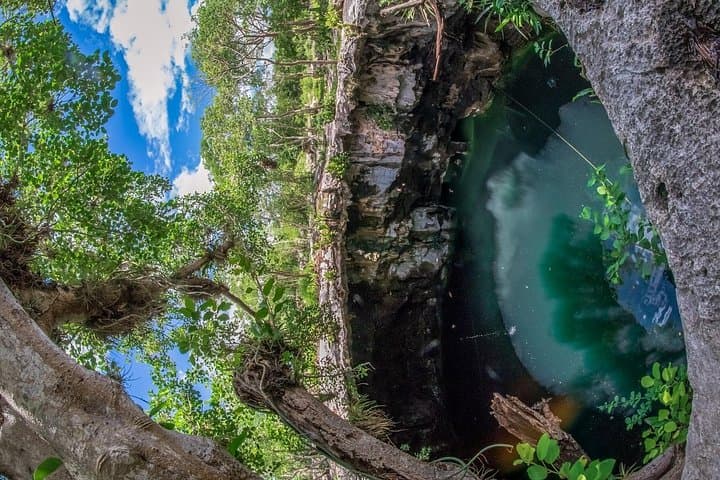 Full-Day Cenotes Tour from Mérida — Swim Four Underground Sinkholes in One Day photo 4