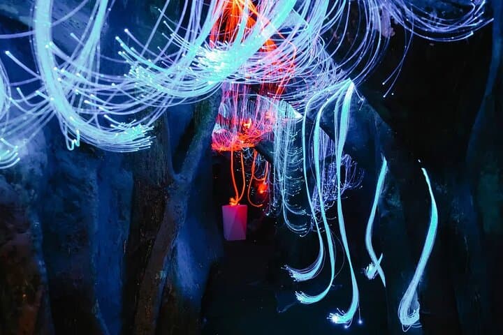 Whimsical Wonderland Manila: Interactive Educational Art Exhibit for Families photo 2