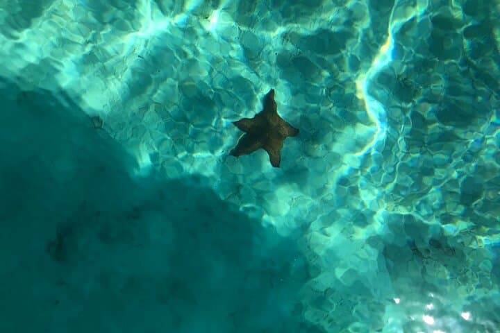 Saona VIP: Three-Beach Boat Trip from Bayahibe with Lunch & Turtle Sanctuary photo 2
