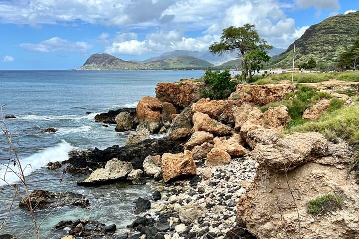 Electric Beach Snorkel & Dolphin Encounter — Oahu West Shore Adventure