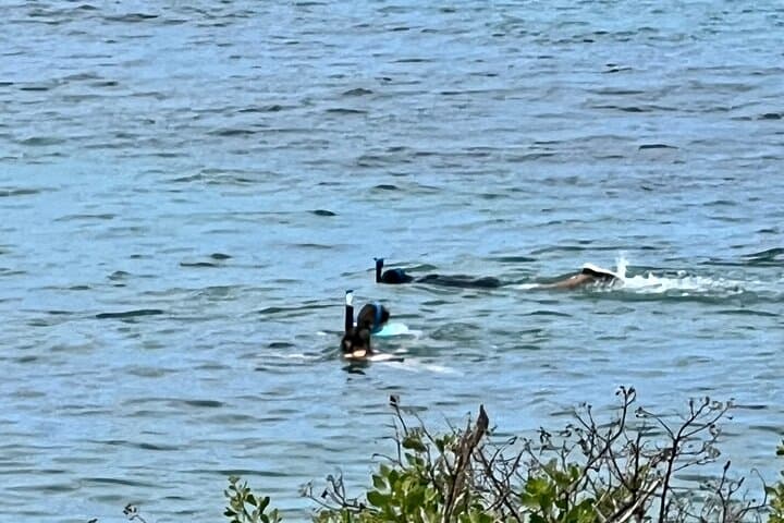 Electric Beach Snorkel & Dolphin Encounter — Oahu West Shore Adventure photo 5