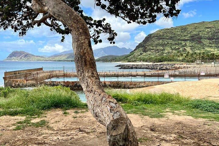 Electric Beach Snorkel & Dolphin Encounter — Oahu West Shore Adventure photo 6