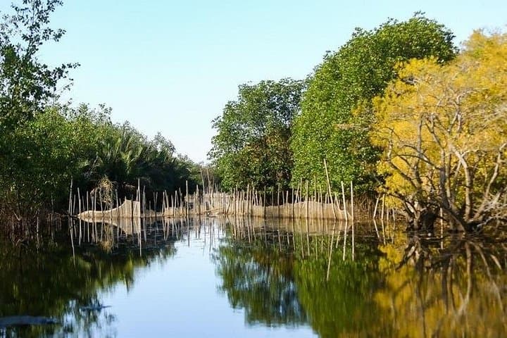 Hue Countryside Tour: Thanh Toan Bridge, Mangroves & Authentic Fishing Experience photo 3