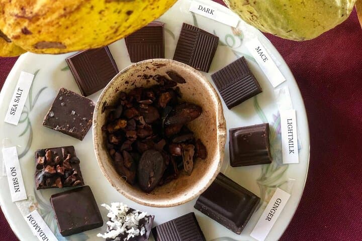 Farm-to-Bar Mayan Chocolate & Waterfall Swim from Placencia photo 6