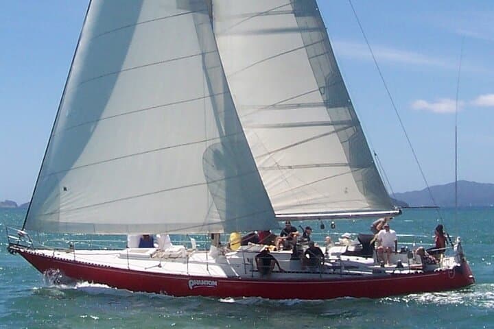Bay of Islands Private Sailing Charter — Half-Day Yacht Cruise from Paihia photo 3