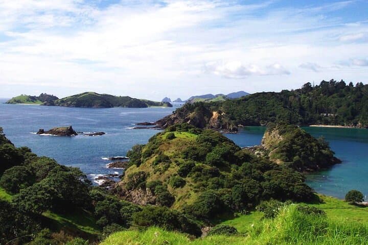 Bay of Islands Private Sailing Charter — Half-Day Yacht Cruise from Paihia photo 5