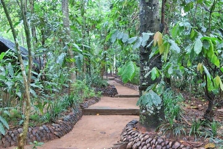 Colombo to Sigiriya Day Trip: Climb Lion Rock, Dambulla Cave & Spice Gardens photo 3