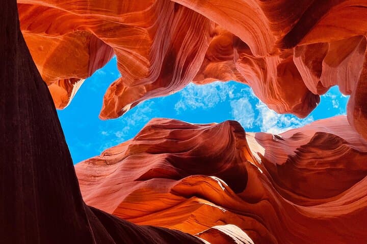 Antelope Canyon: A Half-Day Tour Through Upper Light Beams and Lower Ladders photo 3