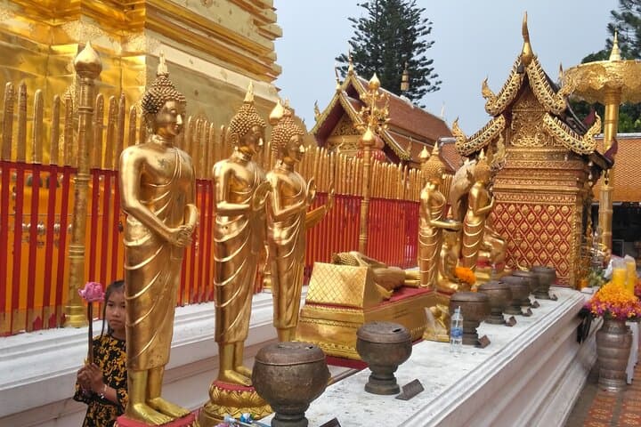 Chiang Mai Monk Trail Hike to Wat Doi Suthep — 3-Hour Forest Ascent & Temple Views photo 3