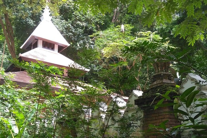 Chiang Mai Monk Trail Hike to Wat Doi Suthep — 3-Hour Forest Ascent & Temple Views photo 4