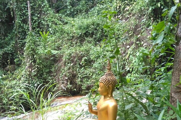 Chiang Mai Monk Trail Hike to Wat Doi Suthep — 3-Hour Forest Ascent & Temple Views photo 6