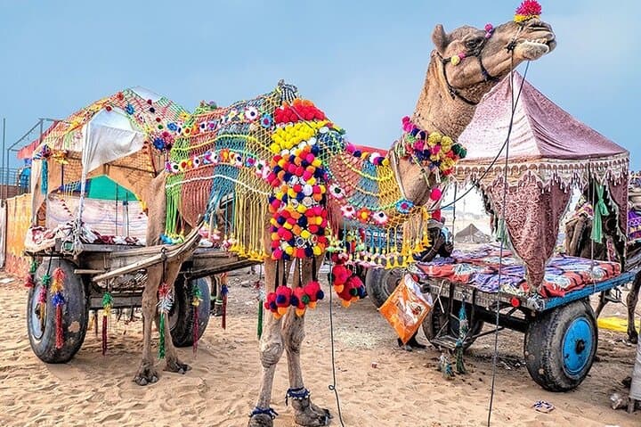 Day Trip to Pushkar from Jaipur: Brahma Temple, Camel Safari & Pushkar Lake