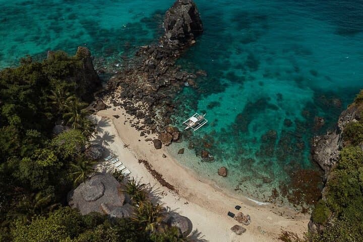 Apo Island Full-Day Snorkel & Turtle Point Tour from Dumaguete photo 6