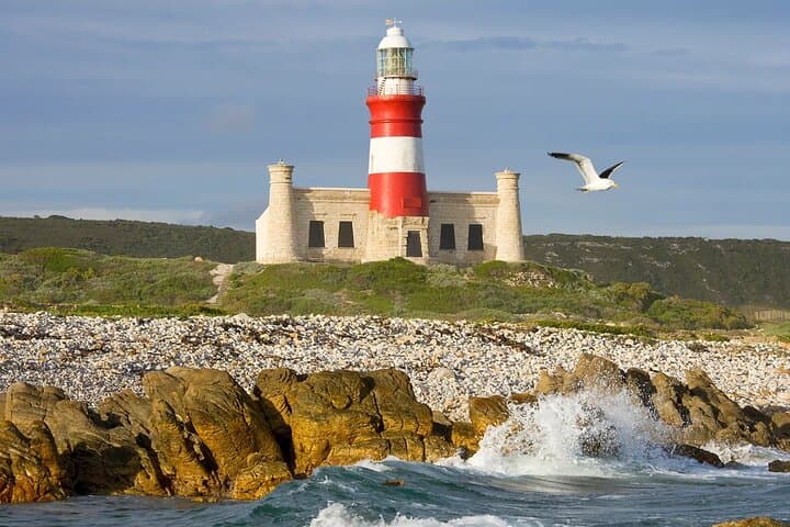 Where Two Oceans Meet: Full-Day Cape Agulhas Private Tour photo 2