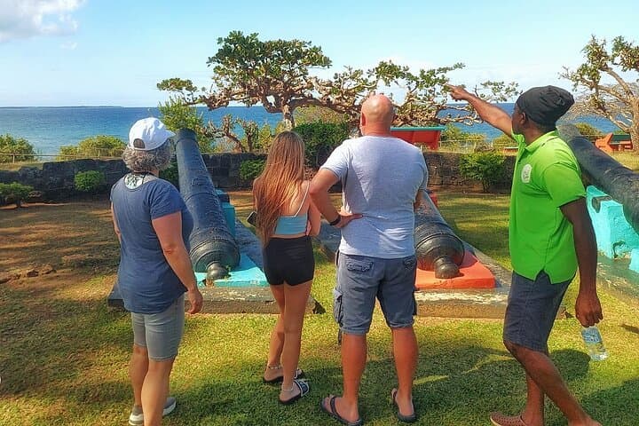 Tobago Atlantic Coast Full-Day Tour to Argyle Falls, Fort King George & Speyside
