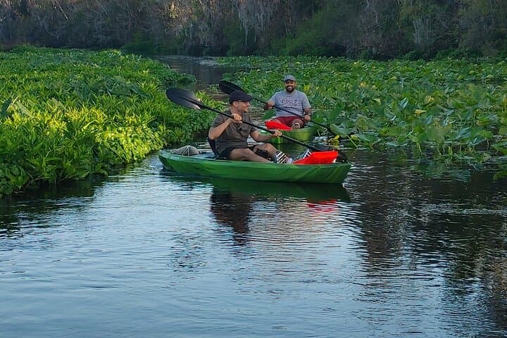 Wekiva Wildlife Kayaking Adventure on the Lower Wekiva River photo 6