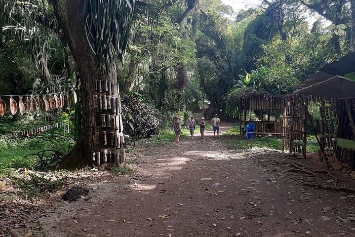 Tobago Atlantic Coast Full-Day Tour to Argyle Falls, Fort King George & Speyside photo 5