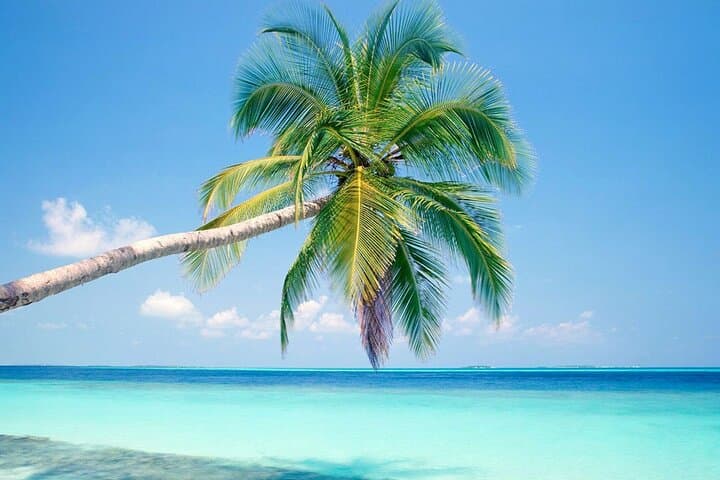 Day Cruise to Jost Van Dyke: Explore BVI’s Iconic White Bay from St. Thomas photo 6