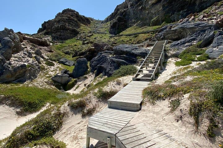 Private Full-Day Boulders Beach Penguin Tour from Cape Town photo 2