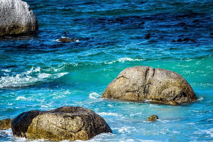 Private Full-Day Boulders Beach Penguin Tour from Cape Town photo 5