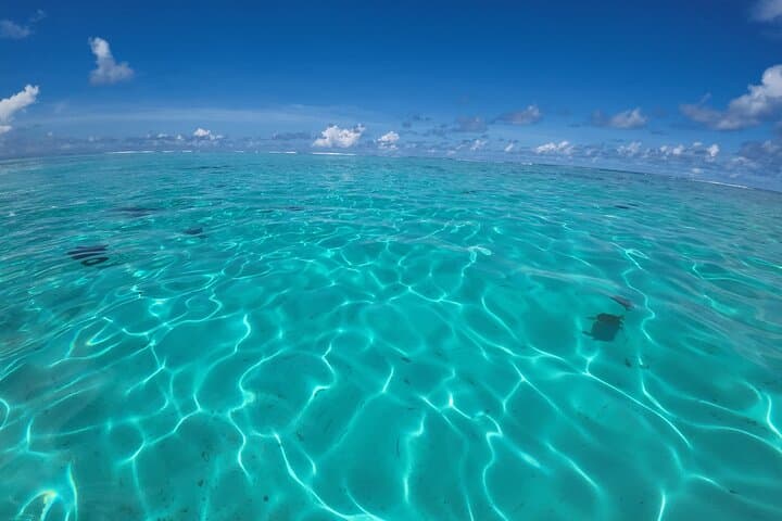 Half-Day Private Boat Snorkeling Excursion in Moorea — Stingrays, Sharks & Turtles photo 4