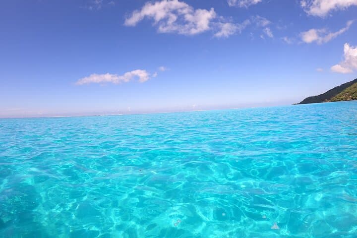 Half-Day Private Boat Snorkeling Excursion in Moorea — Stingrays, Sharks & Turtles photo 6