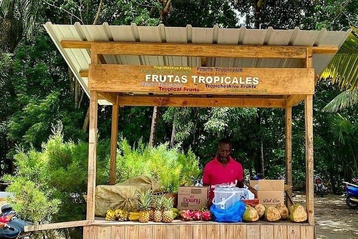 27 Waterfalls (Damajagua) Adventure Tour from Sosua & Cabarete photo 6