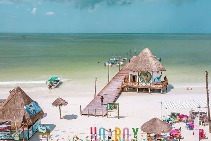 Holbox Island Day Tour from Cancun — Golf Cart, Ferry, Flamingos & Lunch photo 6