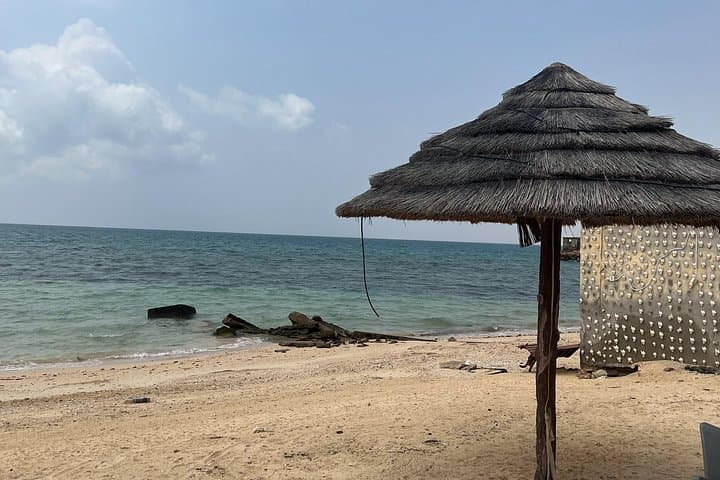 Farasan Islands 2-Day Adventure from Jazan — Snorkel, Camp & Mangroves photo 3