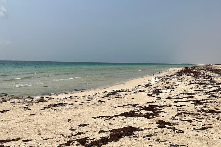 Farasan Islands 2-Day Adventure from Jazan — Snorkel, Camp & Mangroves photo 4