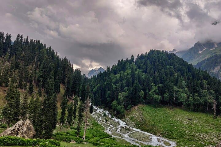 Kashmir Great Lakes Trek: 7-Day Monsoon Alpine Lakes Trek from Srinagar photo 2