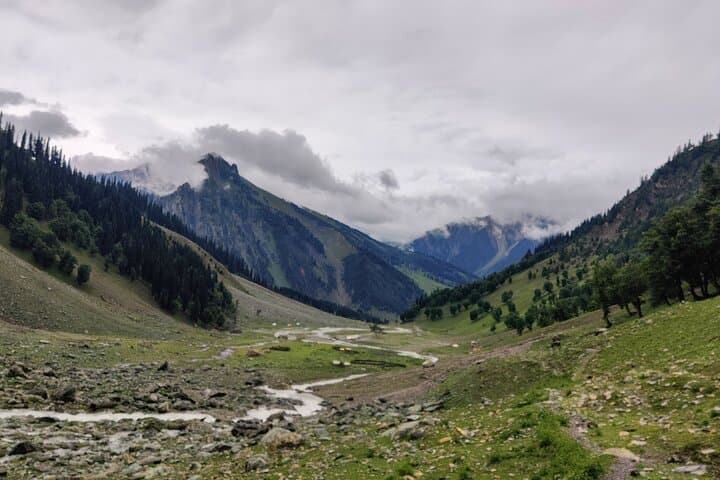 Kashmir Great Lakes Trek: 7-Day Monsoon Alpine Lakes Trek from Srinagar photo 4