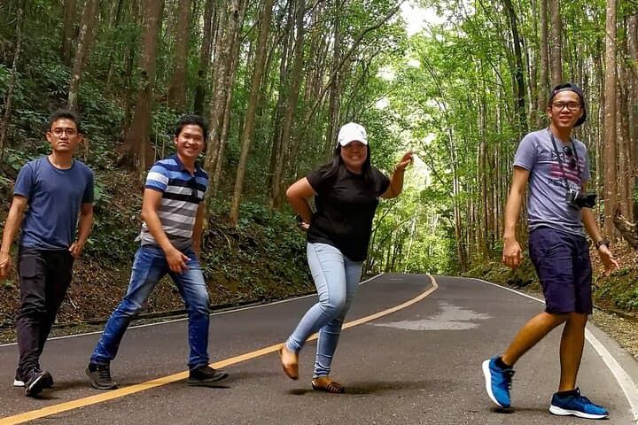 Affordable Bohol: Tarsier Encounters & Chocolate Hills Day Tour photo 3