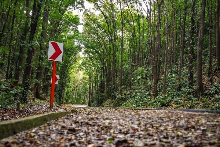Affordable Bohol: Tarsier Encounters & Chocolate Hills Day Tour photo 4