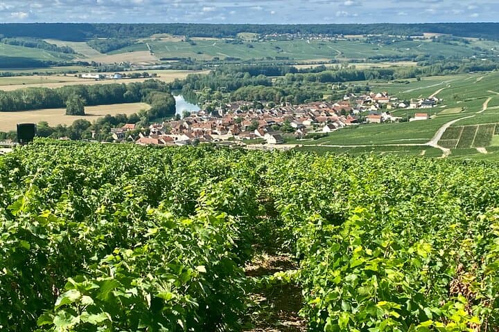 Private Champagne Day Trip from Paris: Moët & Chandon, Pommery & Pressoria