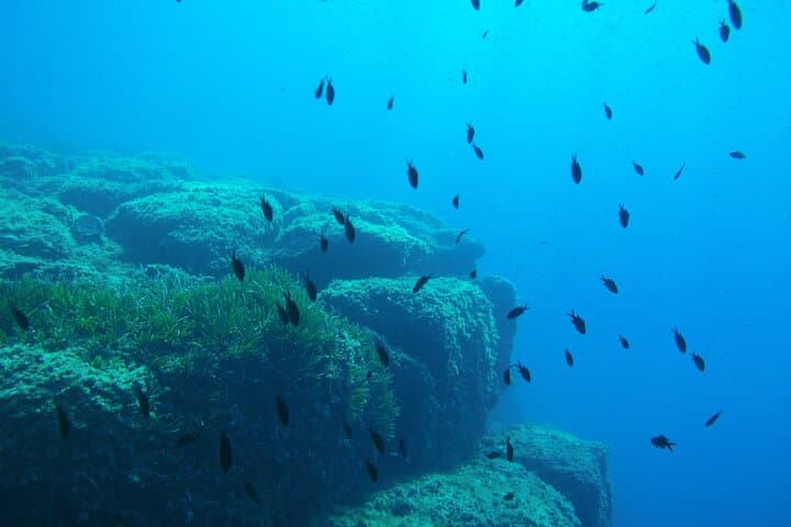 Half-Day Snorkel and Intro Scuba Adventure on the Côte d'Azur photo 3