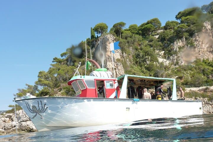 Half-Day Snorkel and Intro Scuba Adventure on the Côte d'Azur photo 5