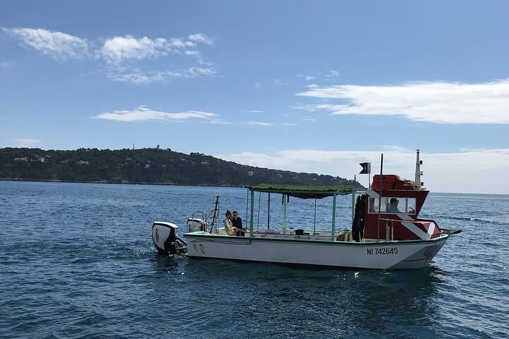 Half-Day Snorkel and Intro Scuba Adventure on the Côte d'Azur photo 6