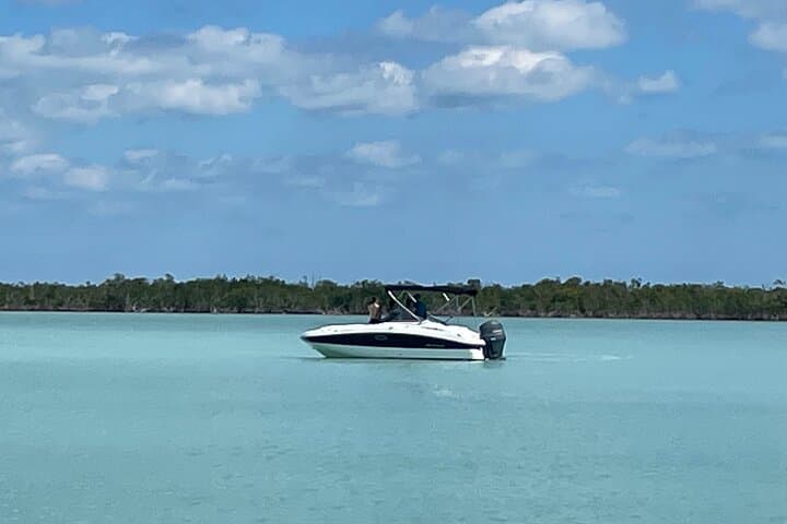 Key Largo Dolphin Day Tour — 1-Hour Boat Rental with Captain photo 2