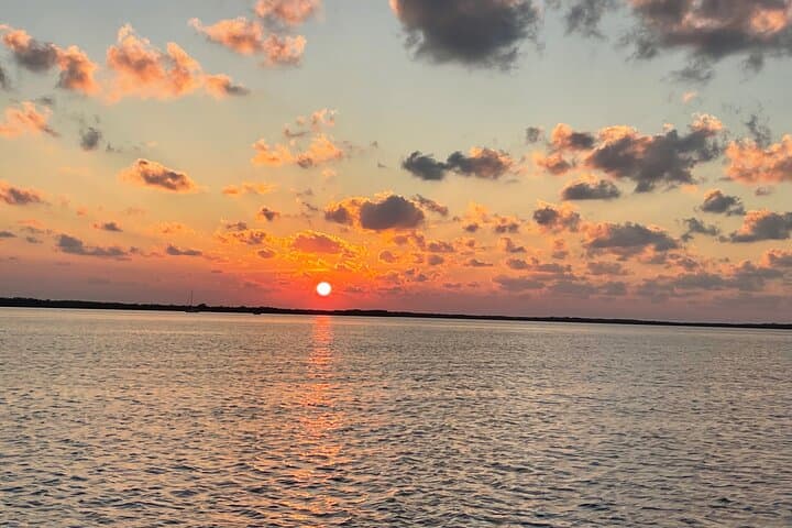 Key Largo Dolphin Day Tour — 1-Hour Boat Rental with Captain photo 4