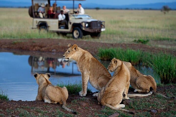 7-Day Private Cape Town to Durban Garden Route Tour with Addo Game Drive photo 2
