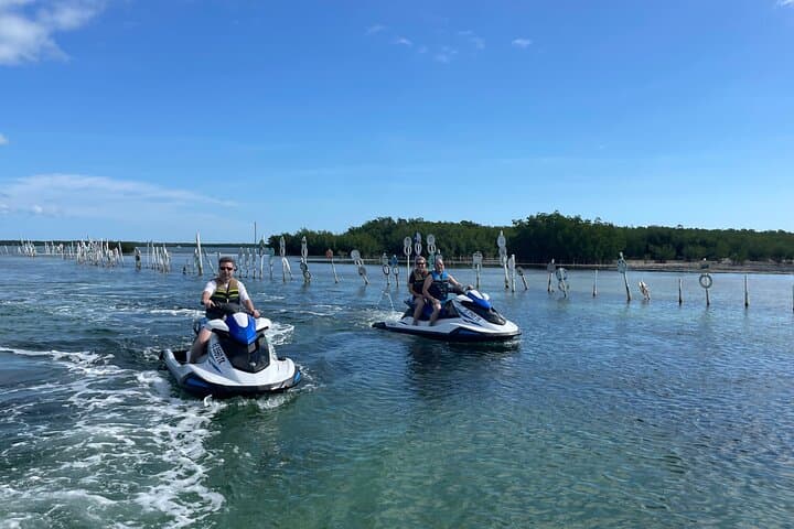 Key Largo Dolphin Jet Ski Tour — Bayside Mangroves & Wildlife (90 Min)