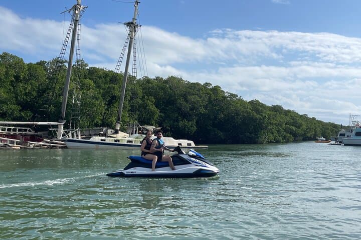 Key Largo Dolphin Jet Ski Tour — Bayside Mangroves & Wildlife (90 Min) photo 2