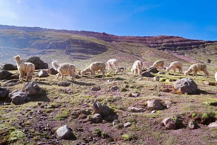 4-Day Ausangate Trek to Rainbow Mountain — High-Andes Camping Trek from Cusco photo 3