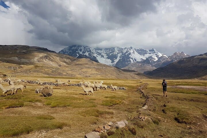 4-Day Ausangate Trek to Rainbow Mountain — High-Andes Camping Trek from Cusco