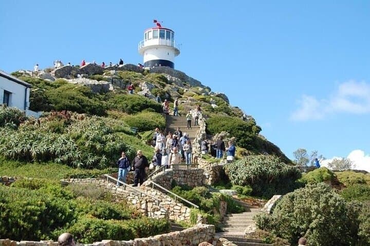 Cape Peninsula Day Tour: Bo-Kaap, Boulders Beach Penguins & Cape Point